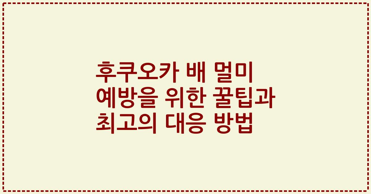 후쿠오카 배 멀미 예방을 위한 꿀팁과 최고의 대응 방법